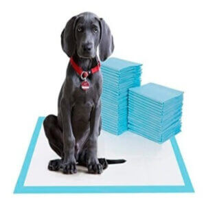 PAÑALES de Piso para entrenamiento de Perros 60x90Cm Paquete 20U