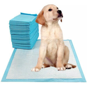 PAÑALES de Piso para entrenamiento de Perros 60x60Cm Paquete 40U