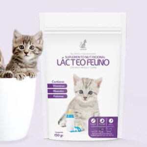 Catplex Suplemento Nutricional Lácteo Felino x 150gr